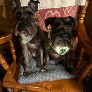 Meet your Posher, Beth